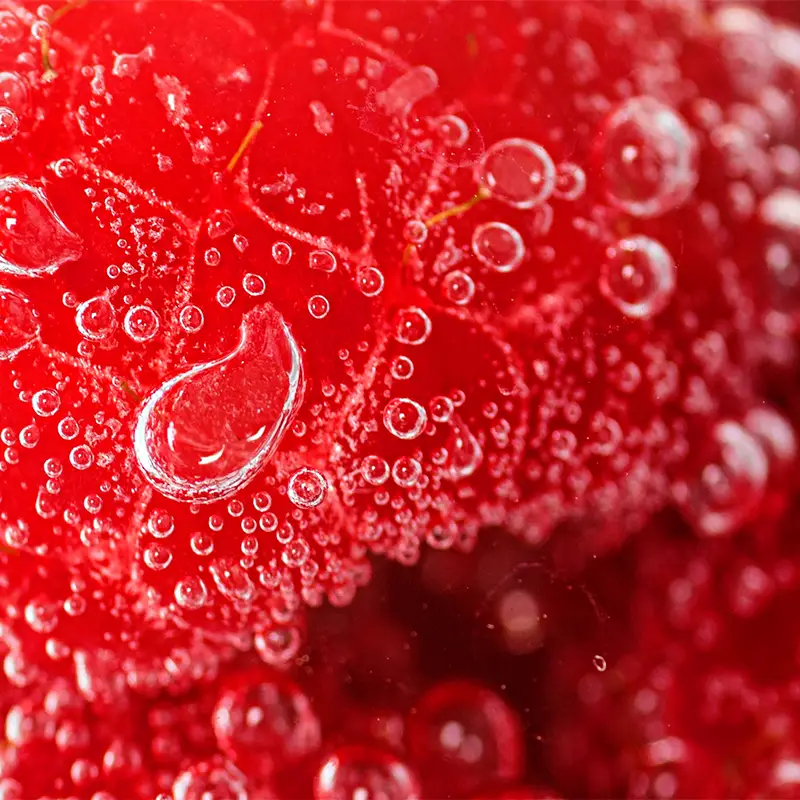 06_our-journey-of-innovation-story-2001-SPM-timeline-3-800x800