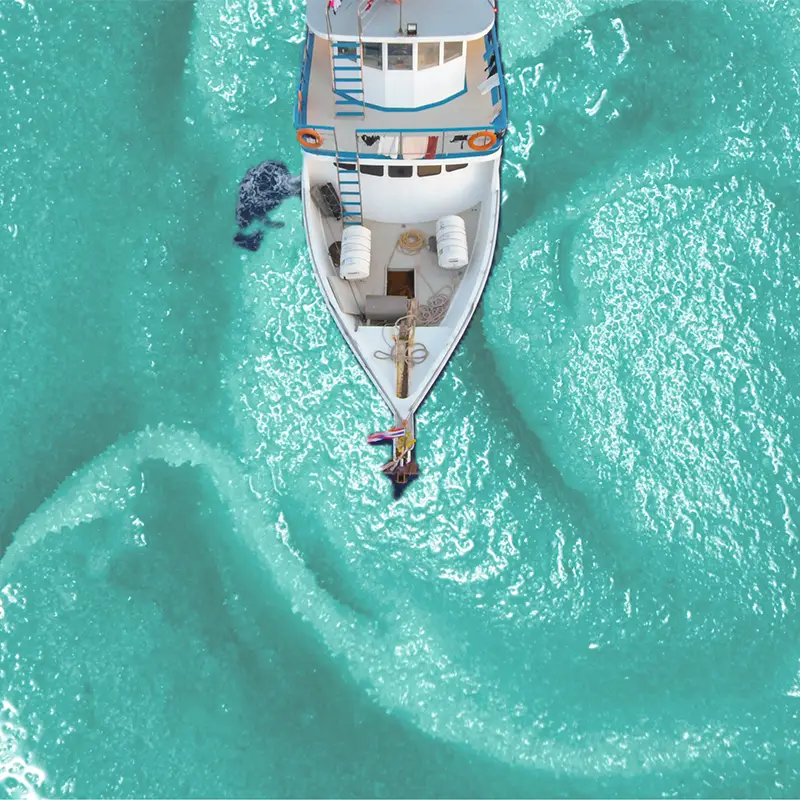 07_our-journey-of-innovation-story-2007-SPM-timeline-4-800x800